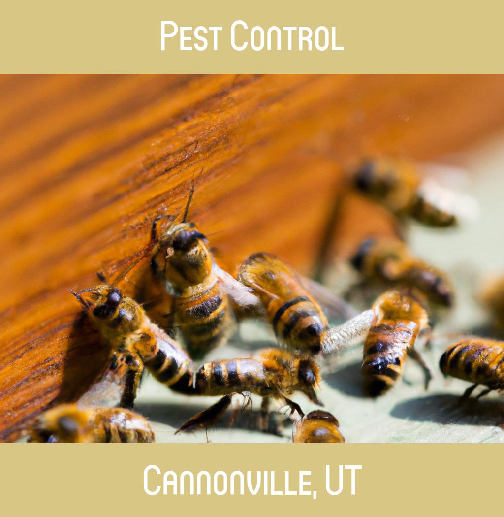 pest control in Cannonville Utah