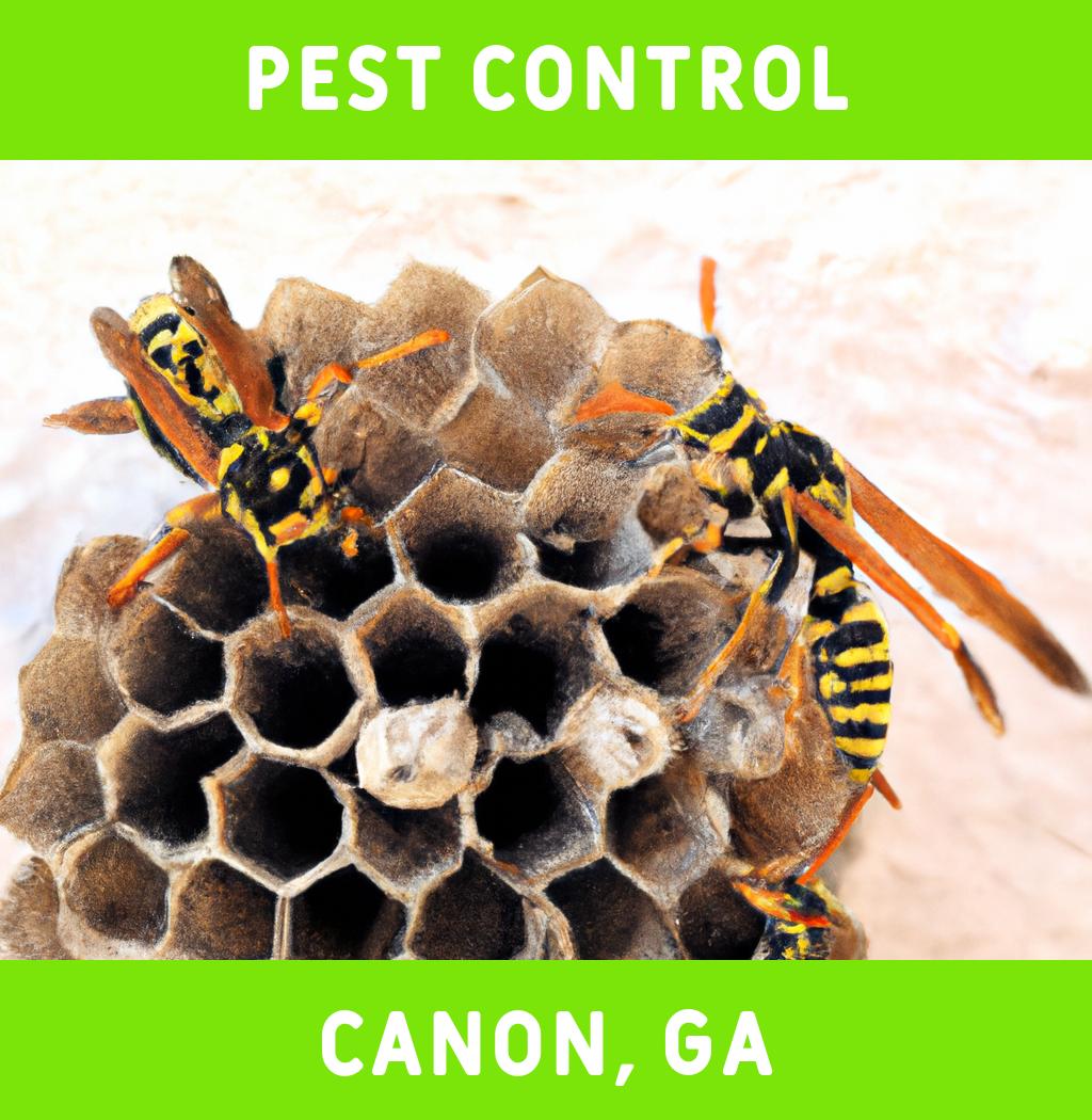 pest control in Canon Georgia