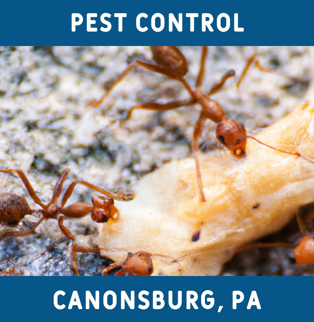 pest control in Canonsburg Pennsylvania