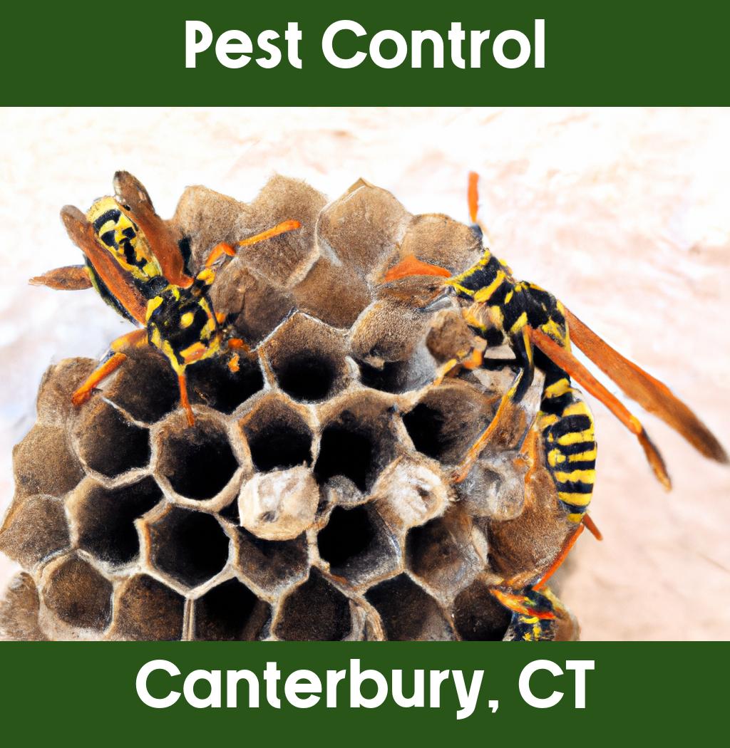 pest control in Canterbury Connecticut
