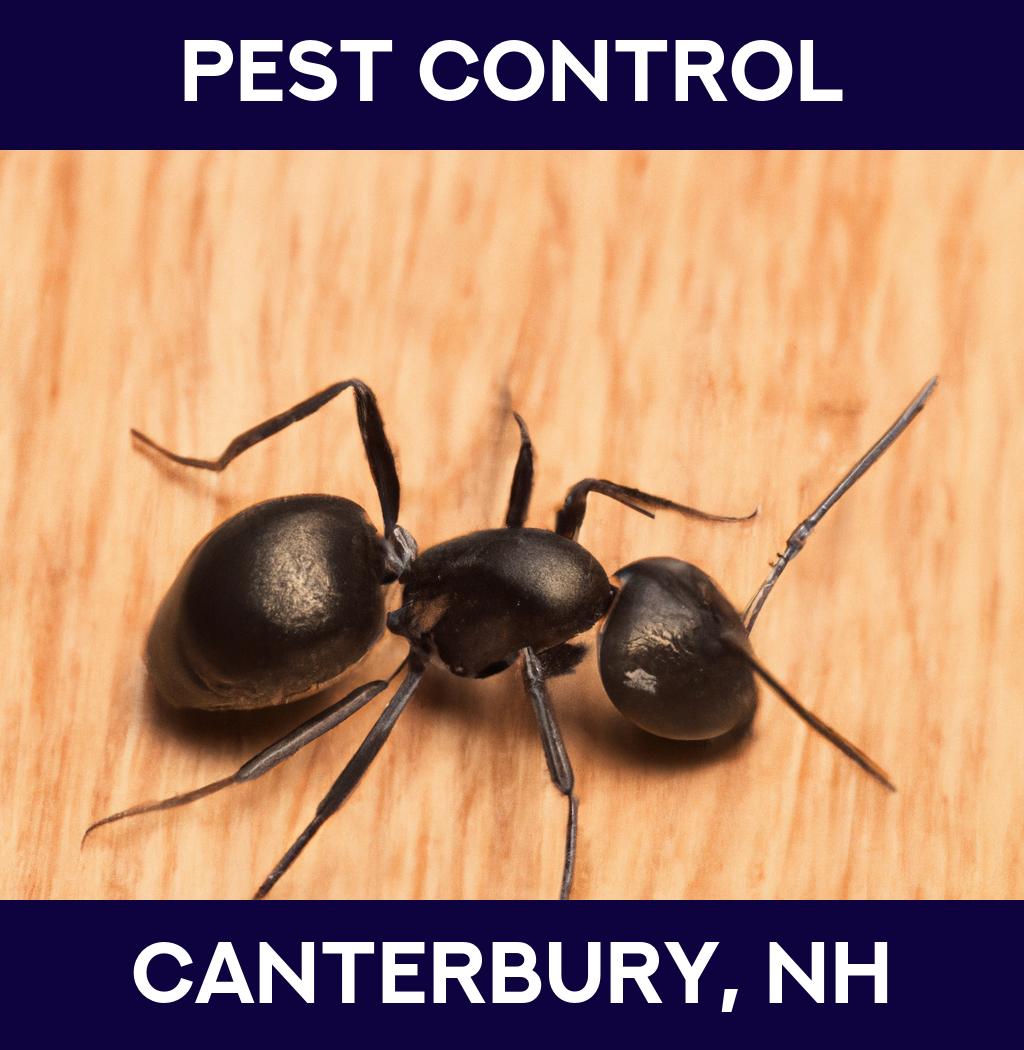 pest control in Canterbury New Hampshire