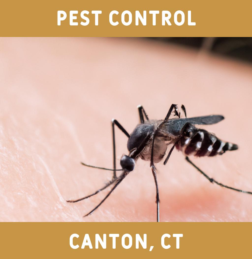 pest control in Canton Connecticut