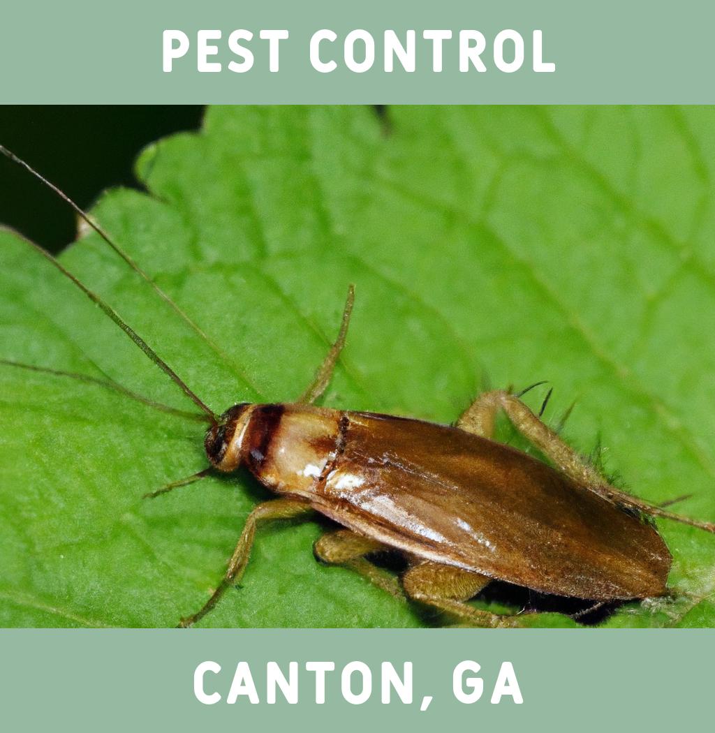 pest control in Canton Georgia