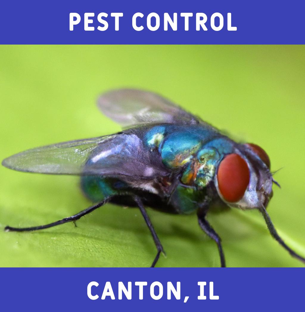 pest control in Canton Illinois