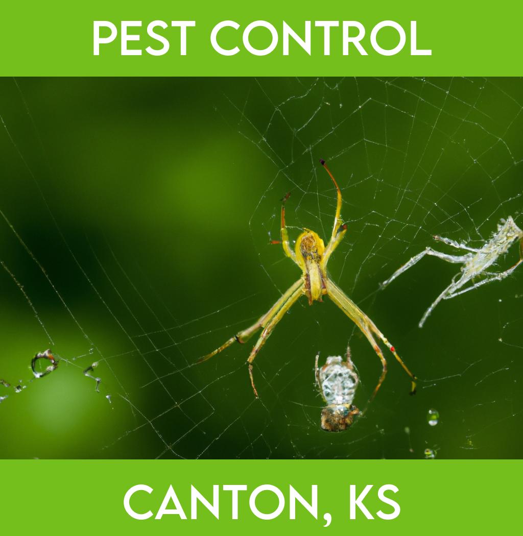 pest control in Canton Kansas