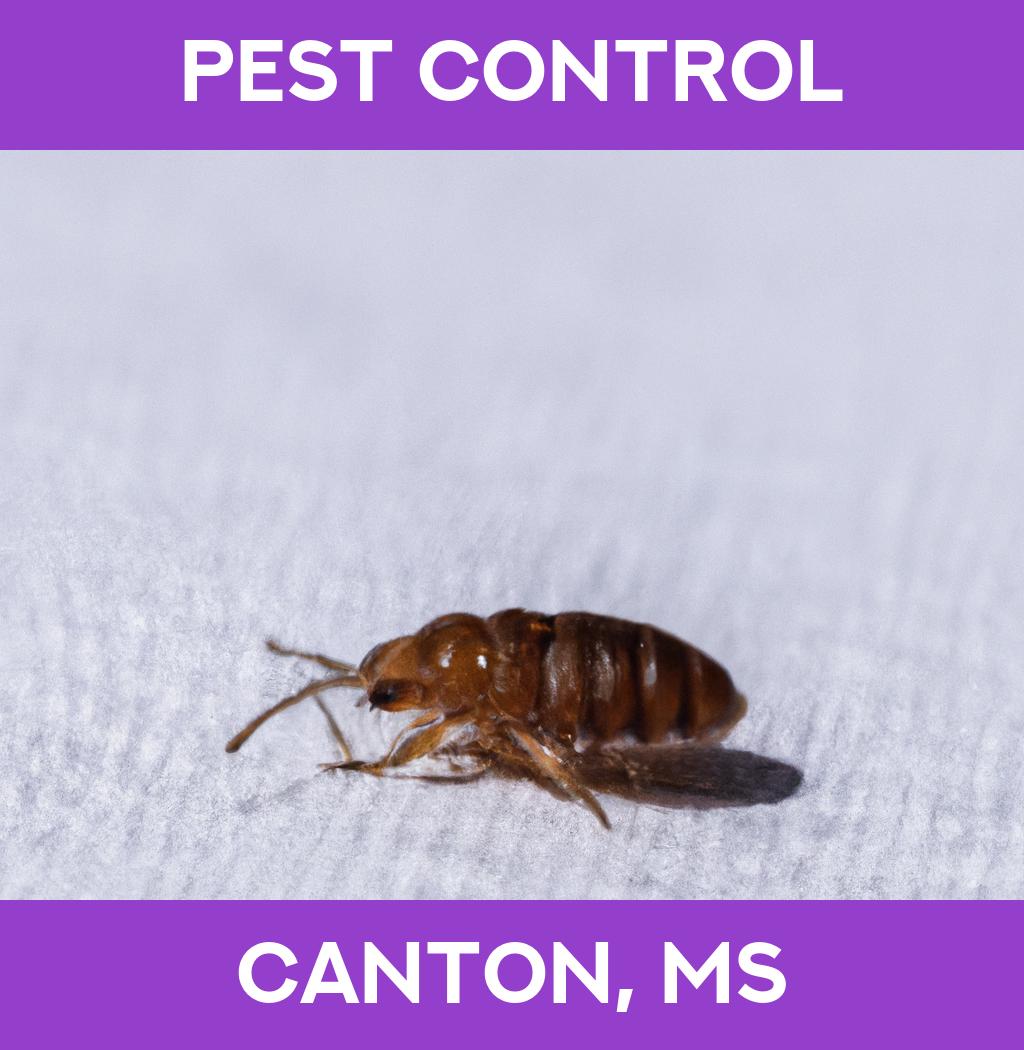 pest control in Canton Mississippi