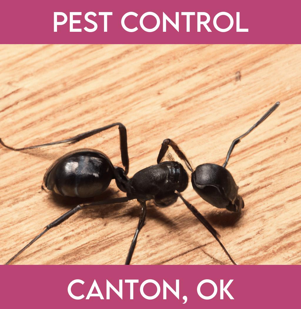 pest control in Canton Oklahoma
