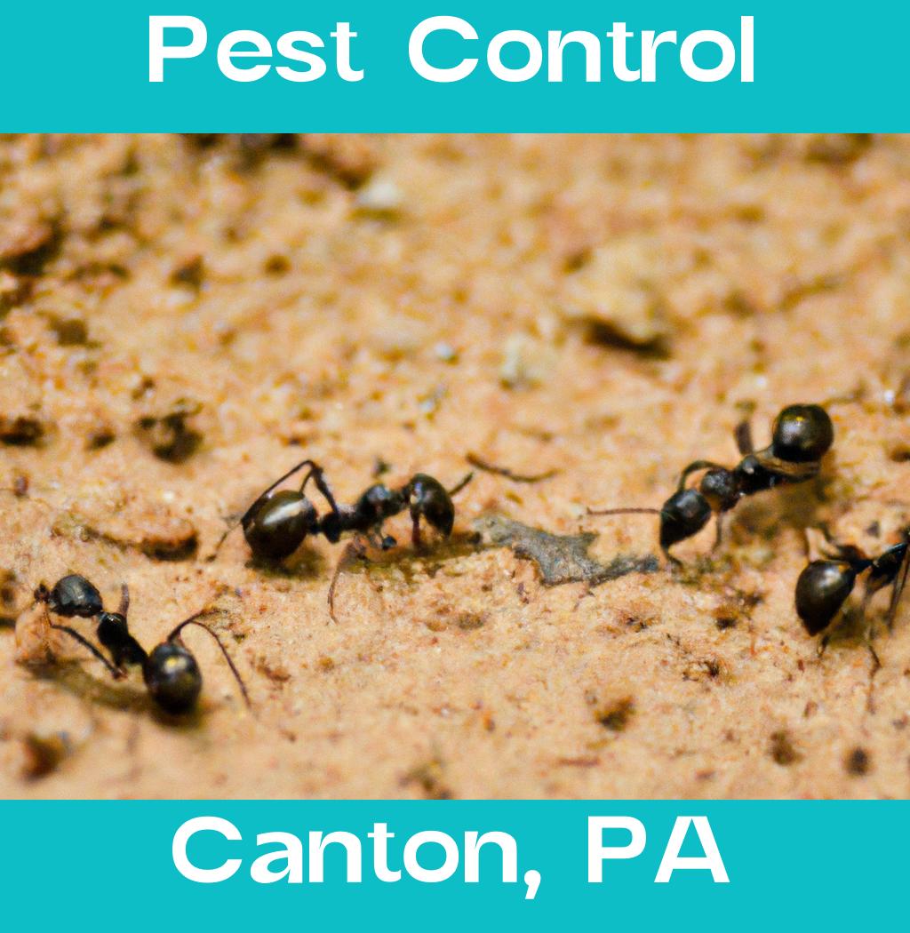 pest control in Canton Pennsylvania