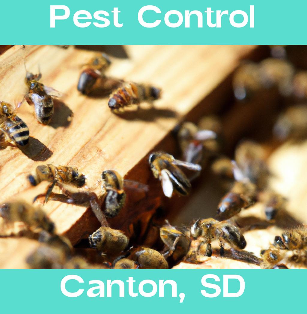 pest control in Canton South Dakota