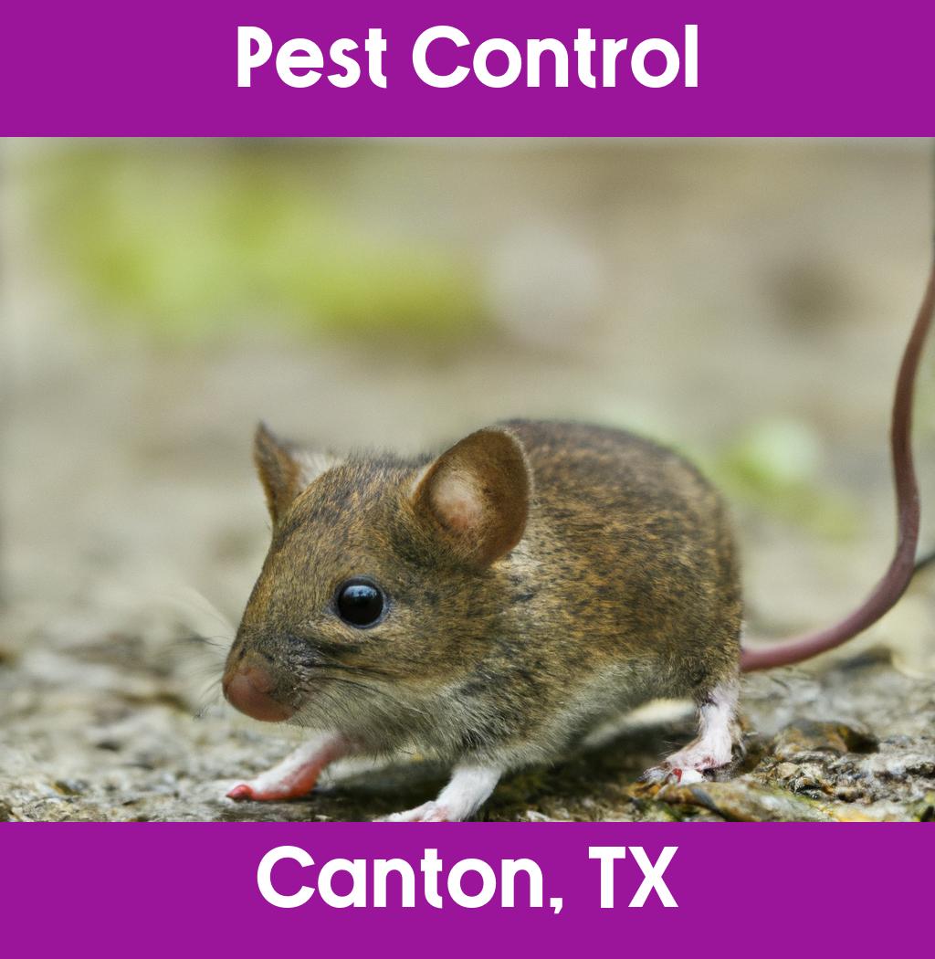 pest control in Canton Texas
