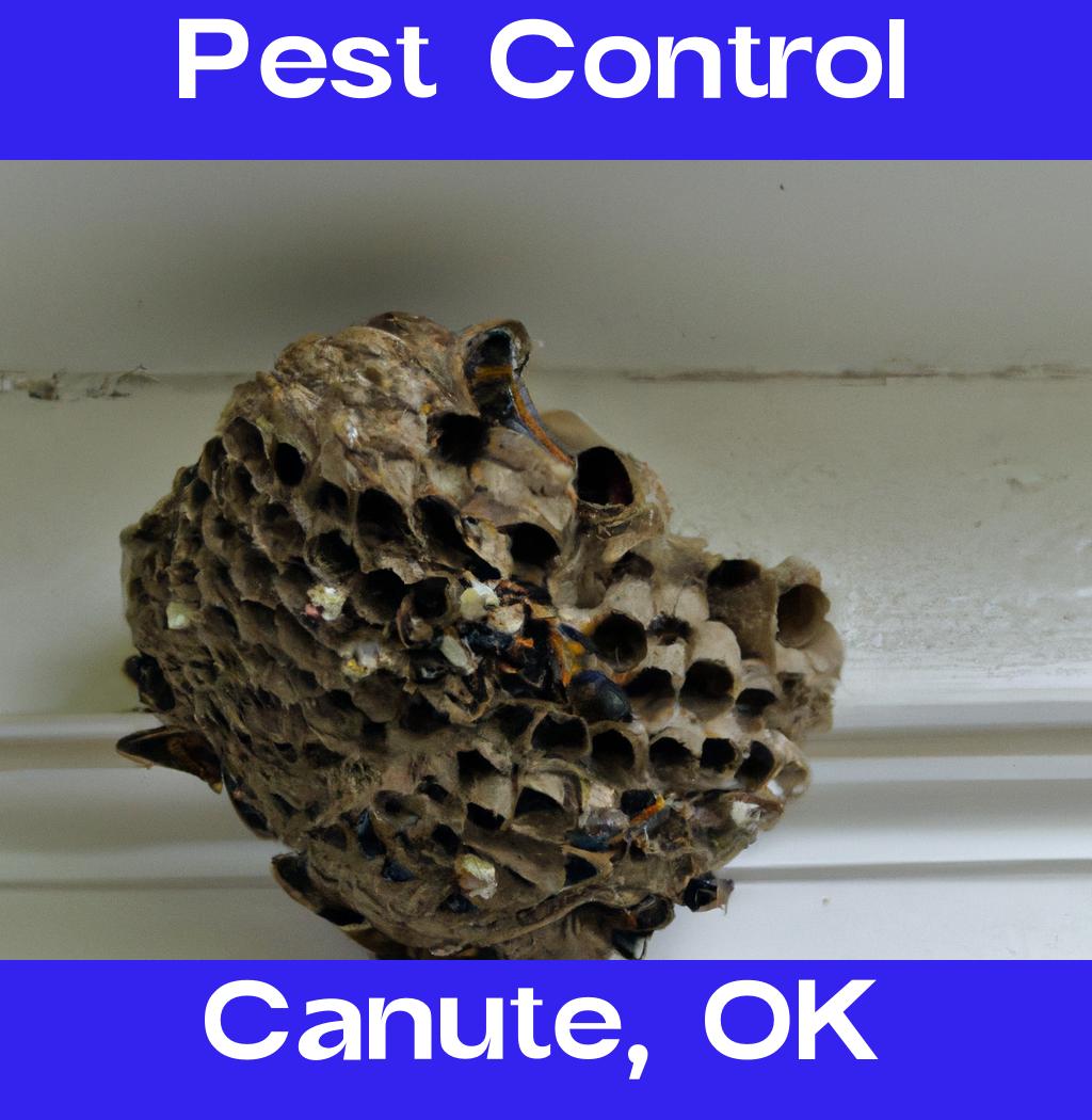 pest control in Canute Oklahoma