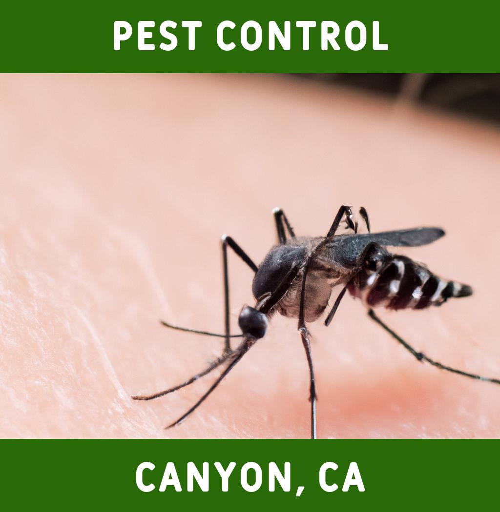 pest control in Canyon California