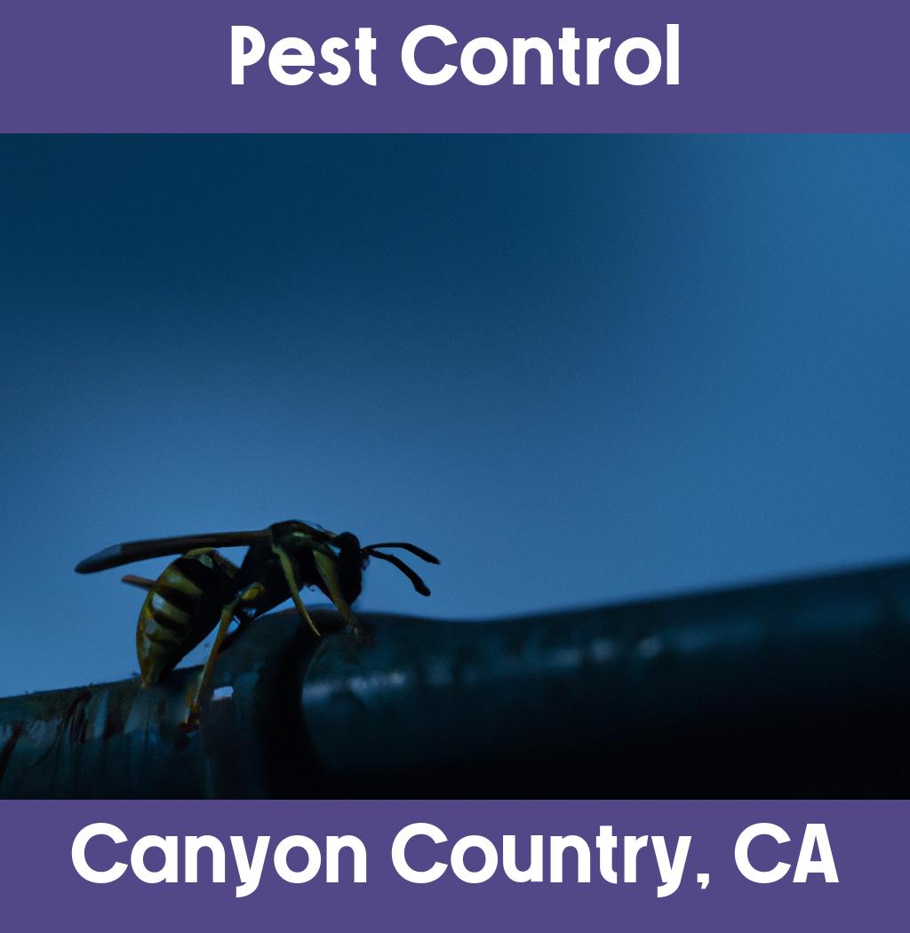 pest control in Canyon Country California