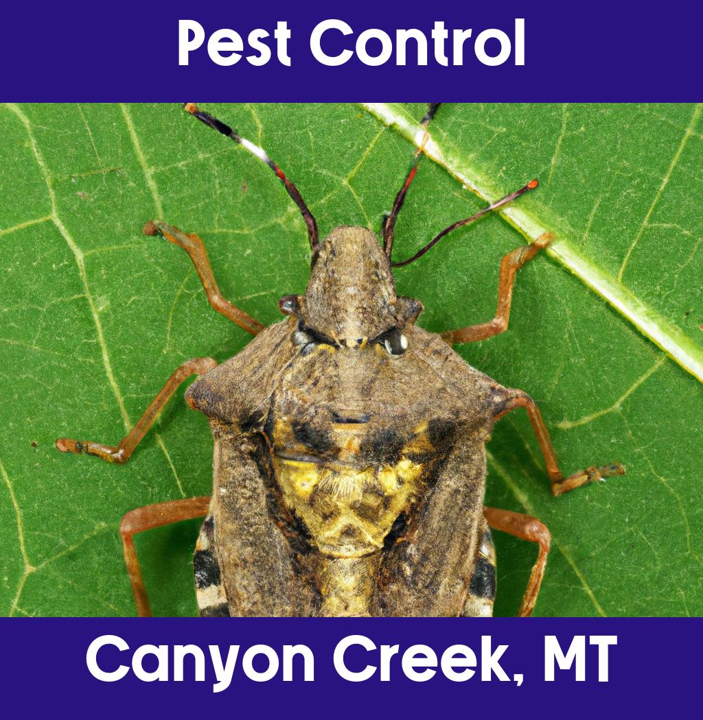 pest control in Canyon Creek Montana