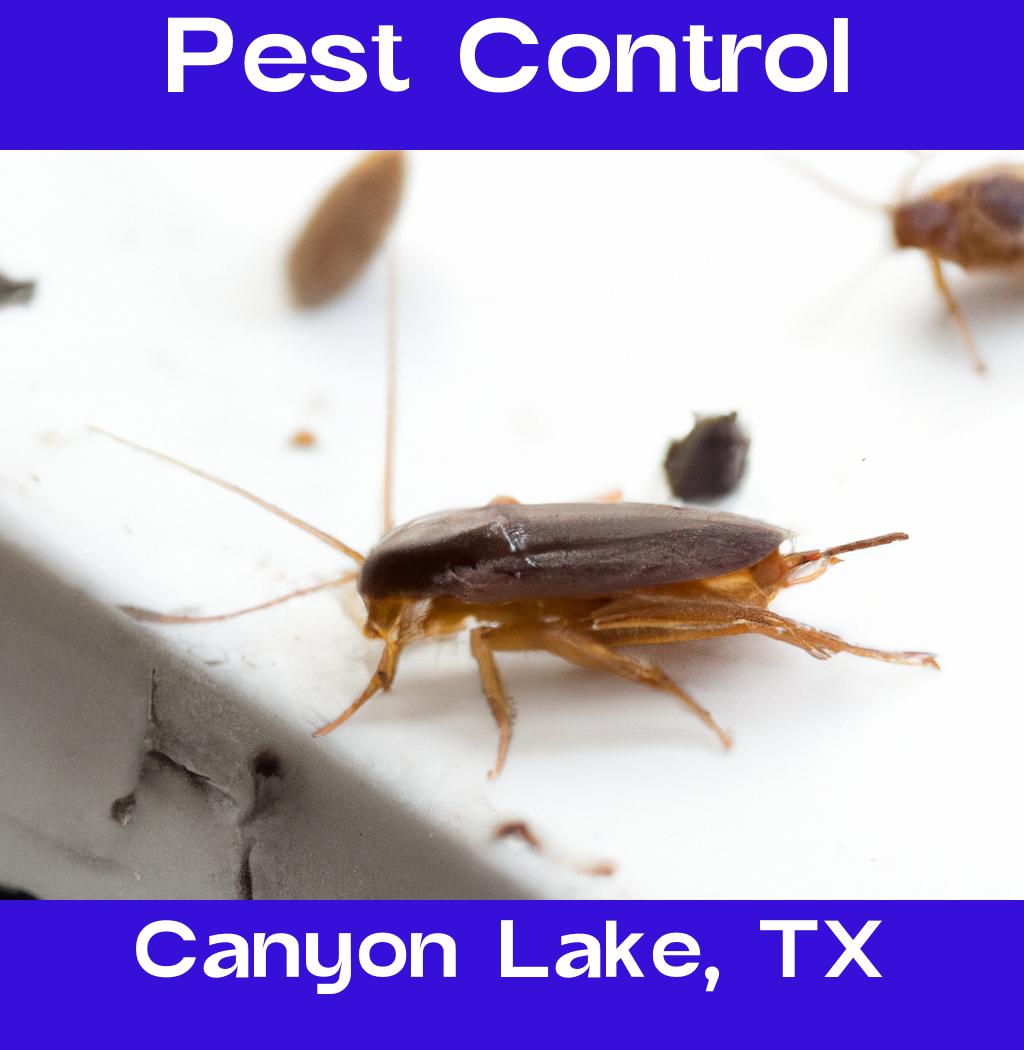 pest control in Canyon Lake Texas