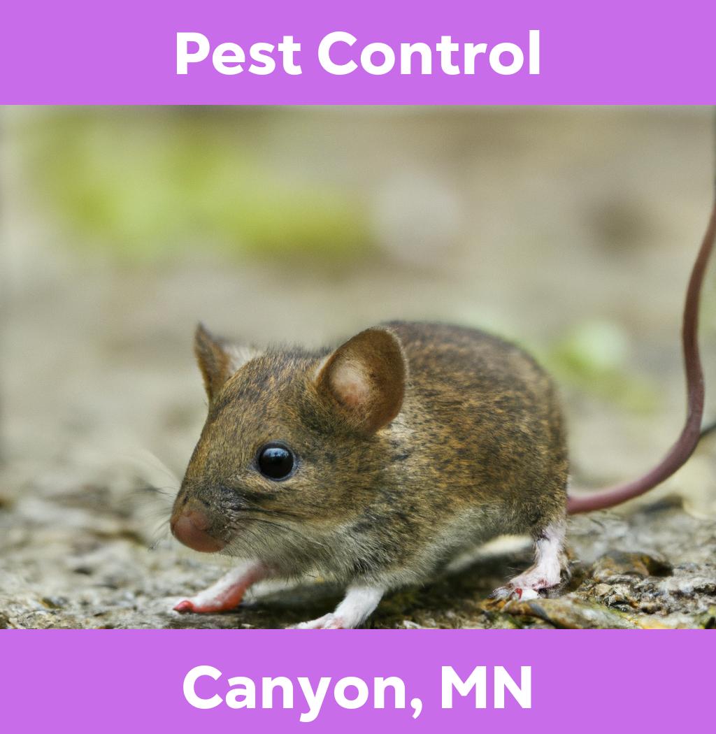 pest control in Canyon Minnesota