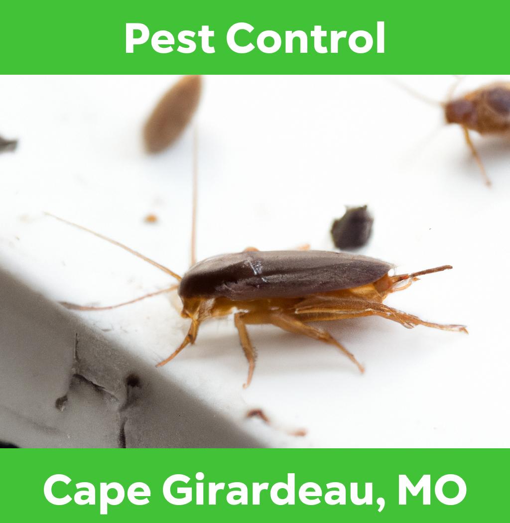 pest control in Cape Girardeau Missouri