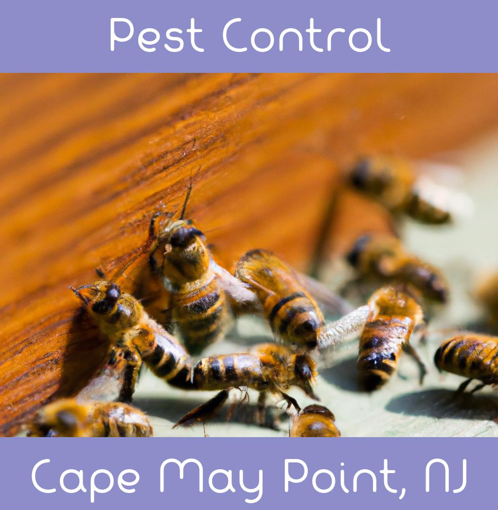 pest control in Cape May Point New Jersey