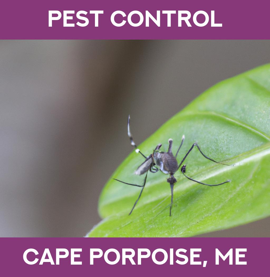 pest control in Cape Porpoise Maine