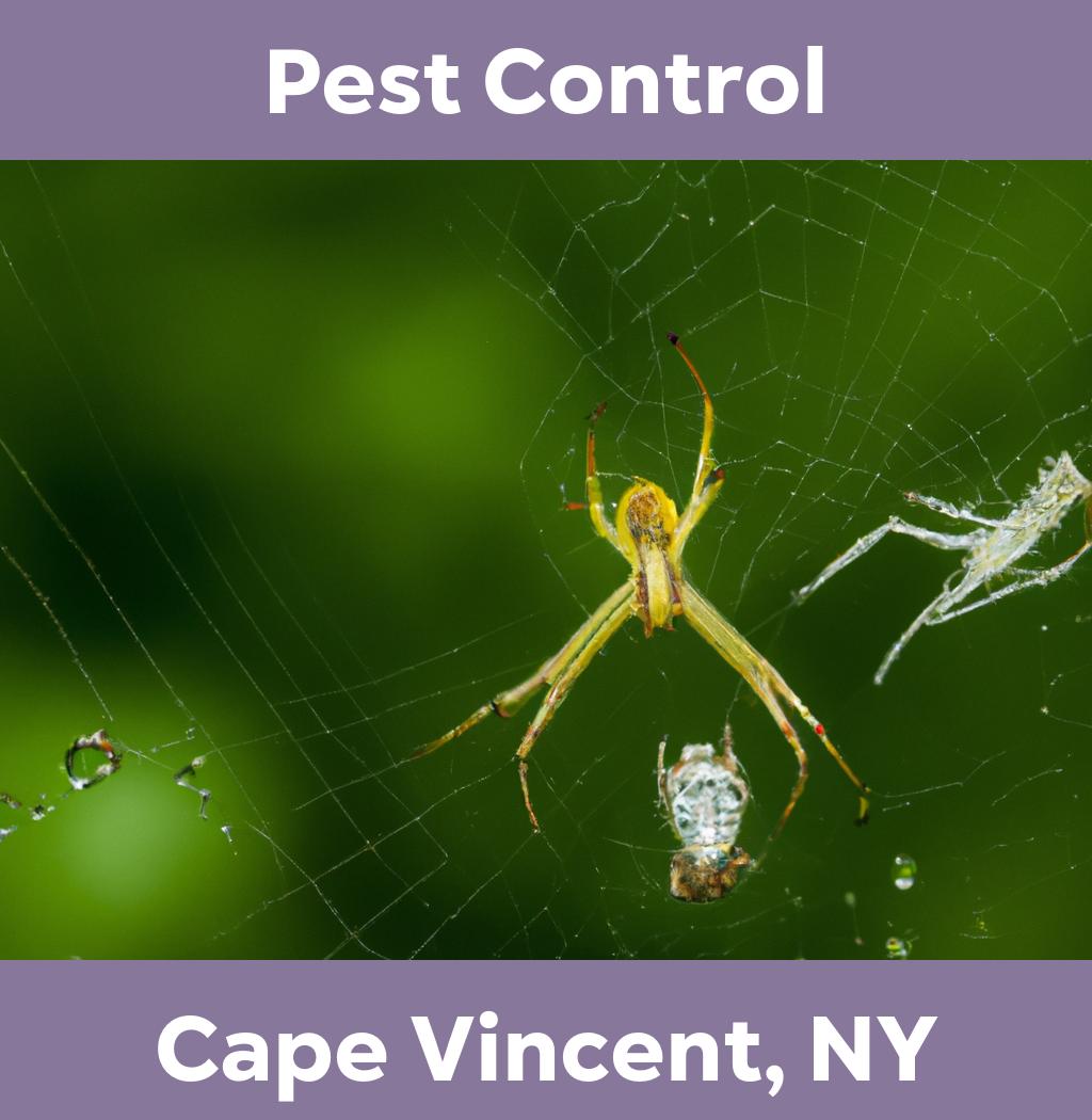 pest control in Cape Vincent New York