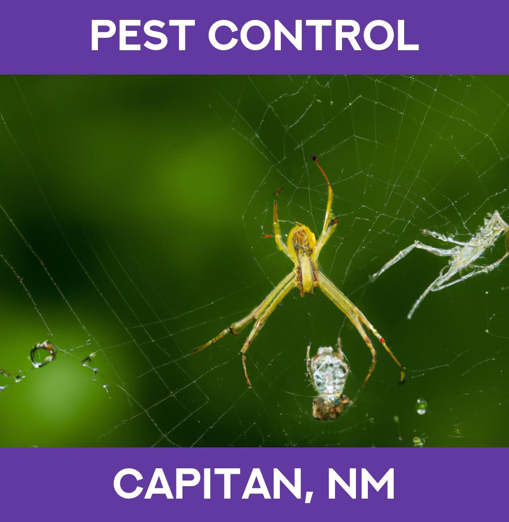 pest control in Capitan New Mexico