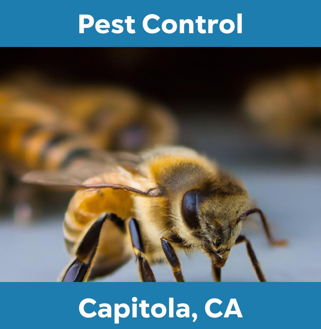 pest control in Capitola California