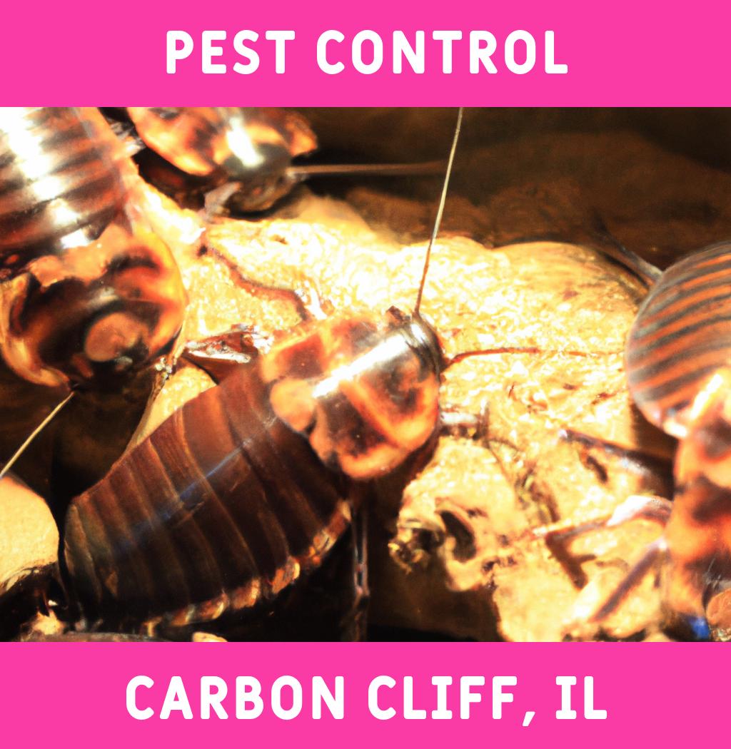 pest control in Carbon Cliff Illinois