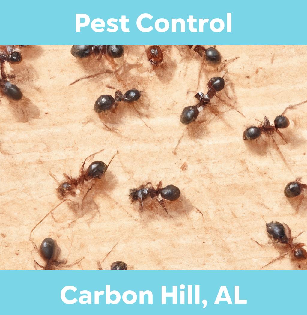 pest control in Carbon Hill Alabama