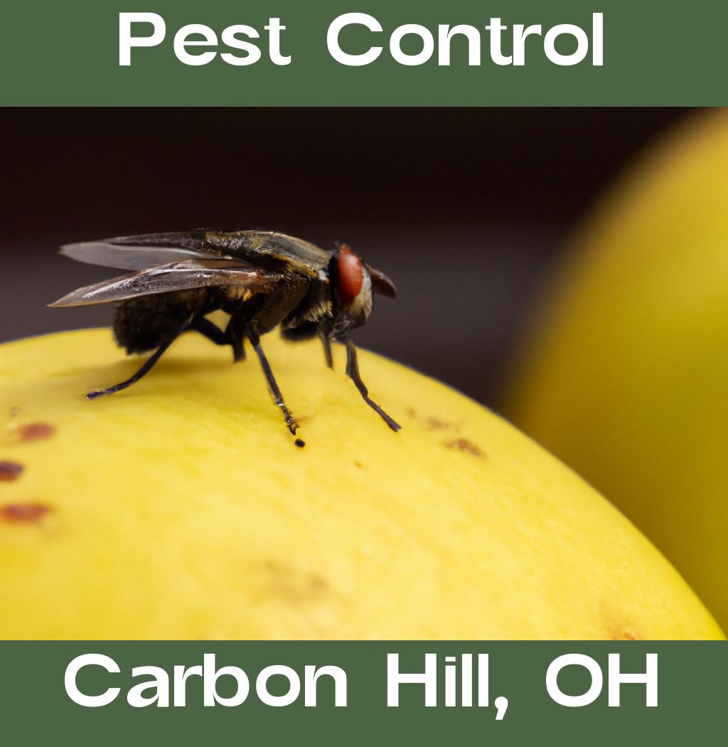 pest control in Carbon Hill Ohio