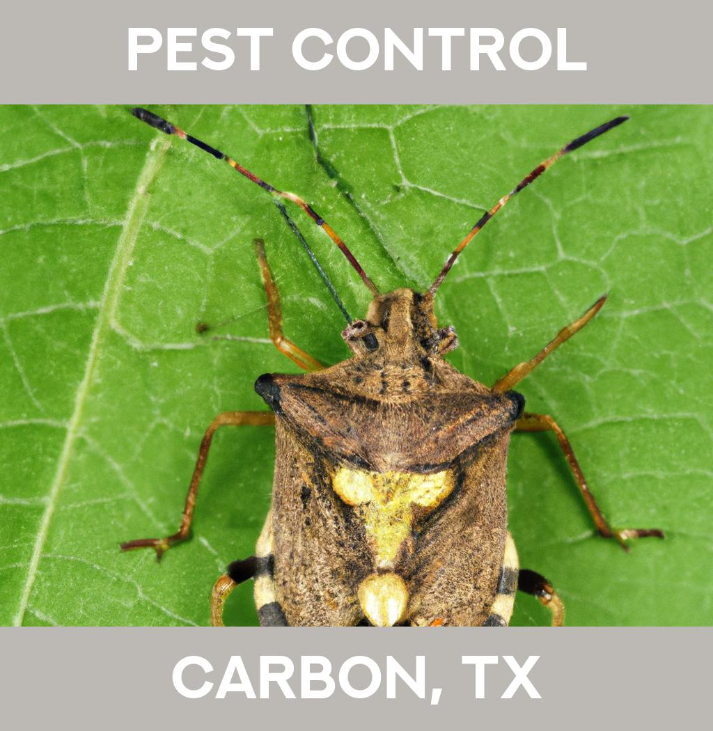 pest control in Carbon Texas