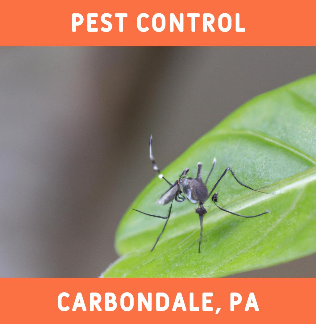 pest control in Carbondale Pennsylvania