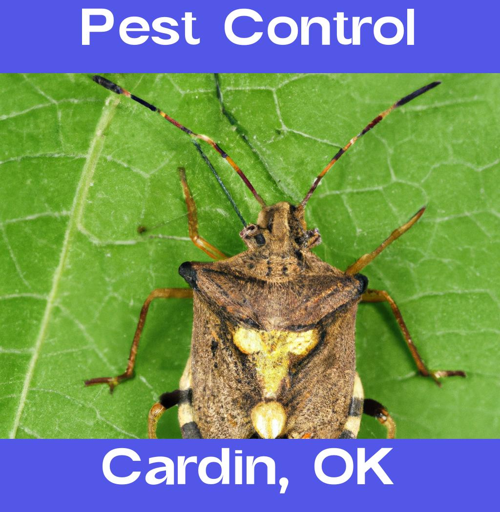 pest control in Cardin Oklahoma