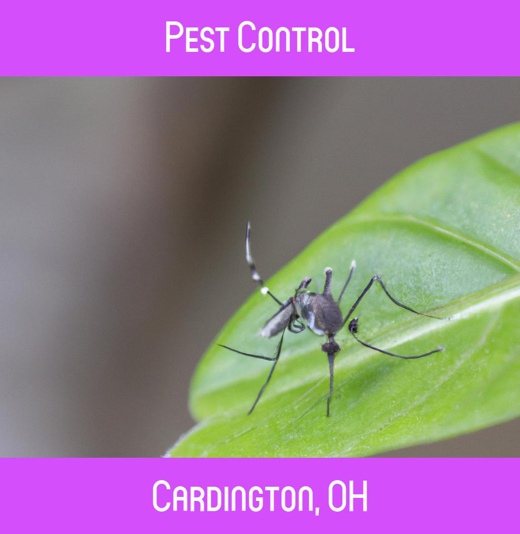 pest control in Cardington Ohio