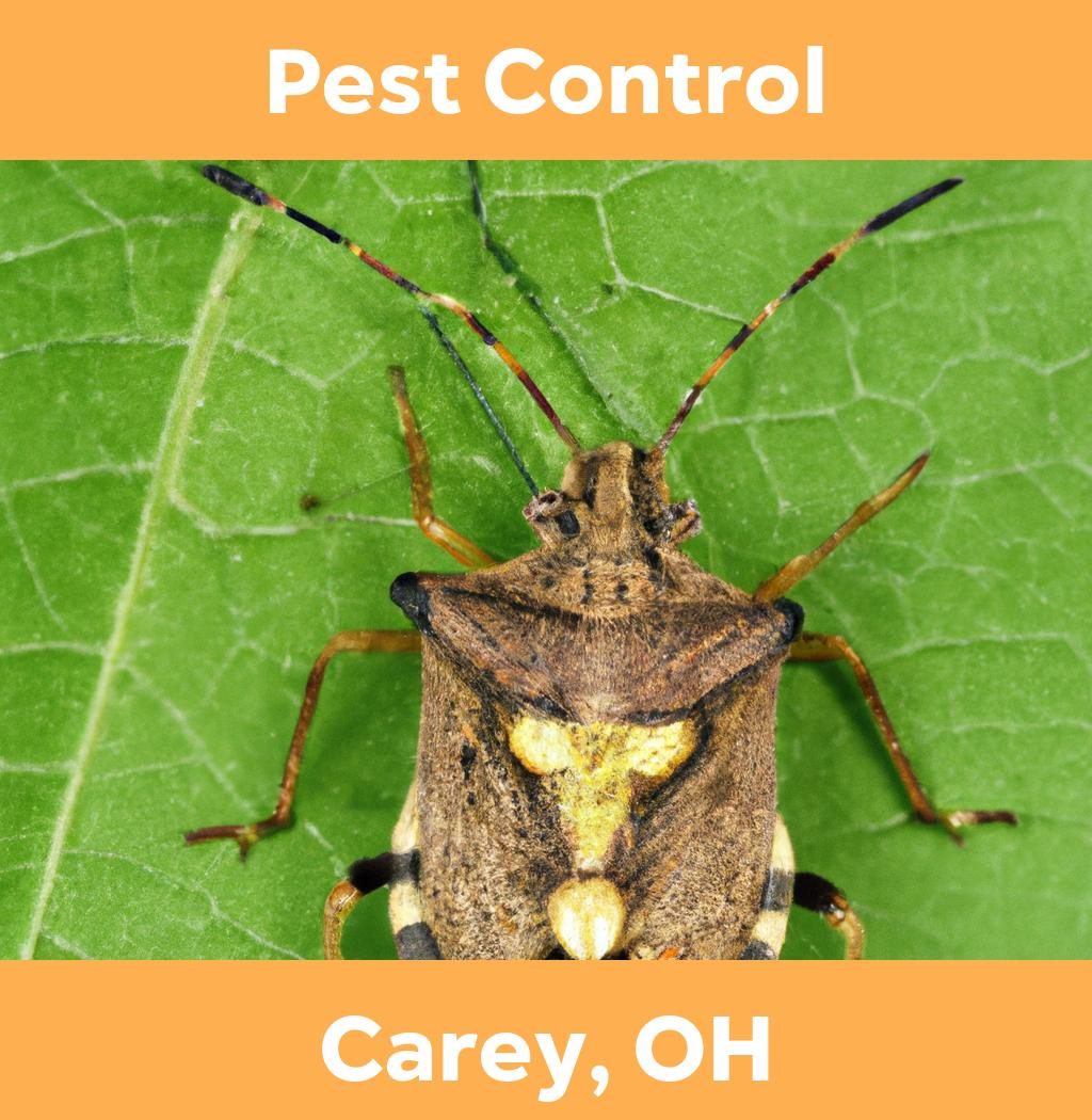 pest control in Carey Ohio