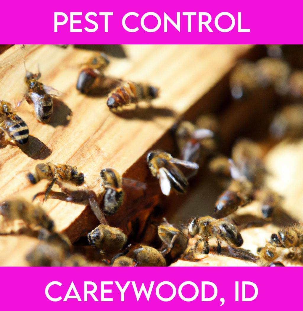 pest control in Careywood Idaho