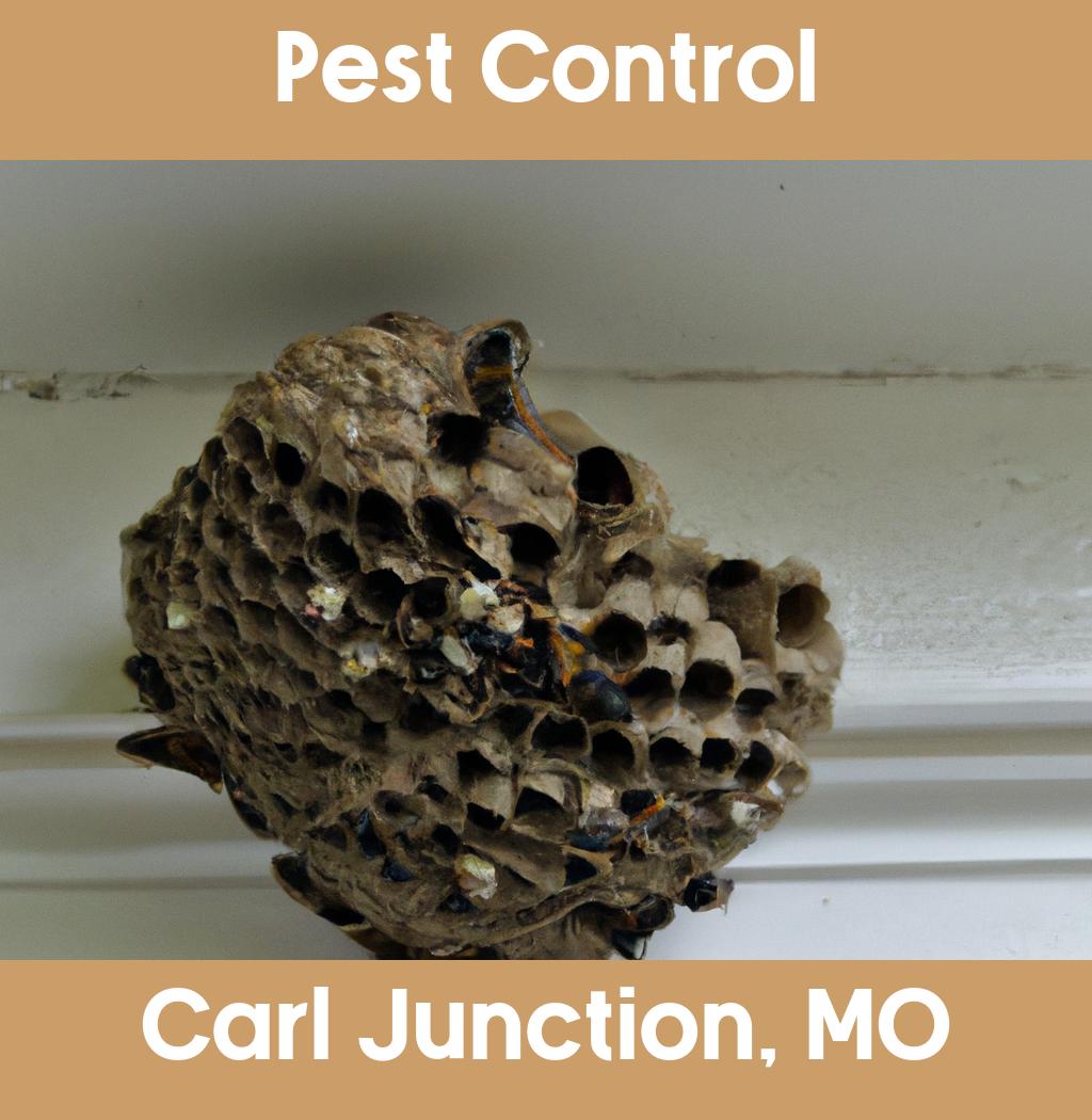 pest control in Carl Junction Missouri
