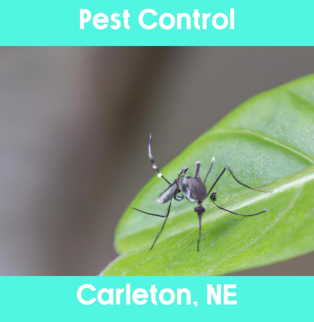 pest control in Carleton Nebraska