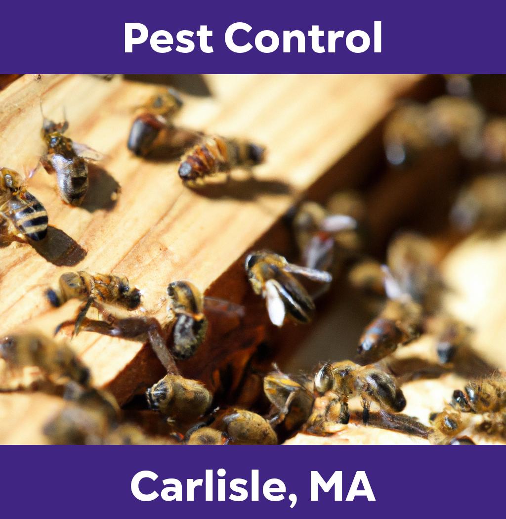 pest control in Carlisle Massachusetts