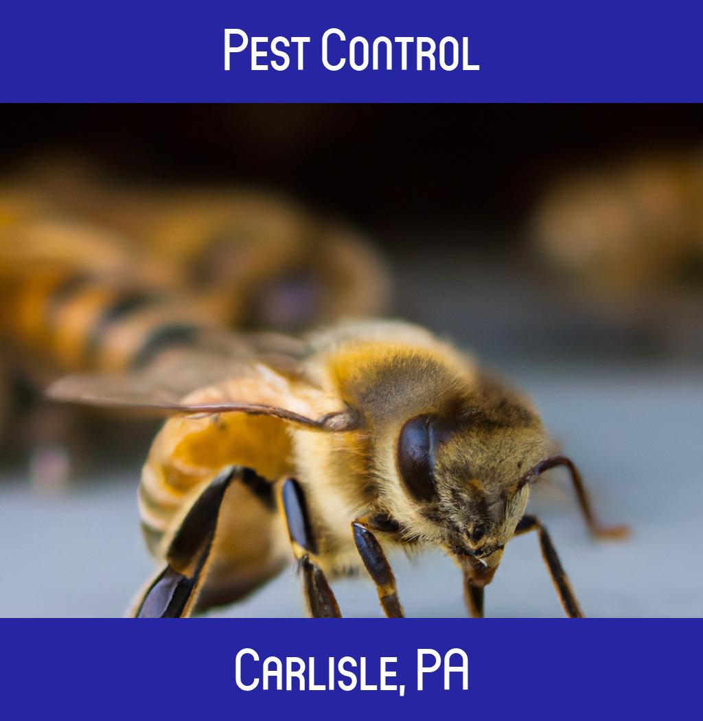 pest control in Carlisle Pennsylvania