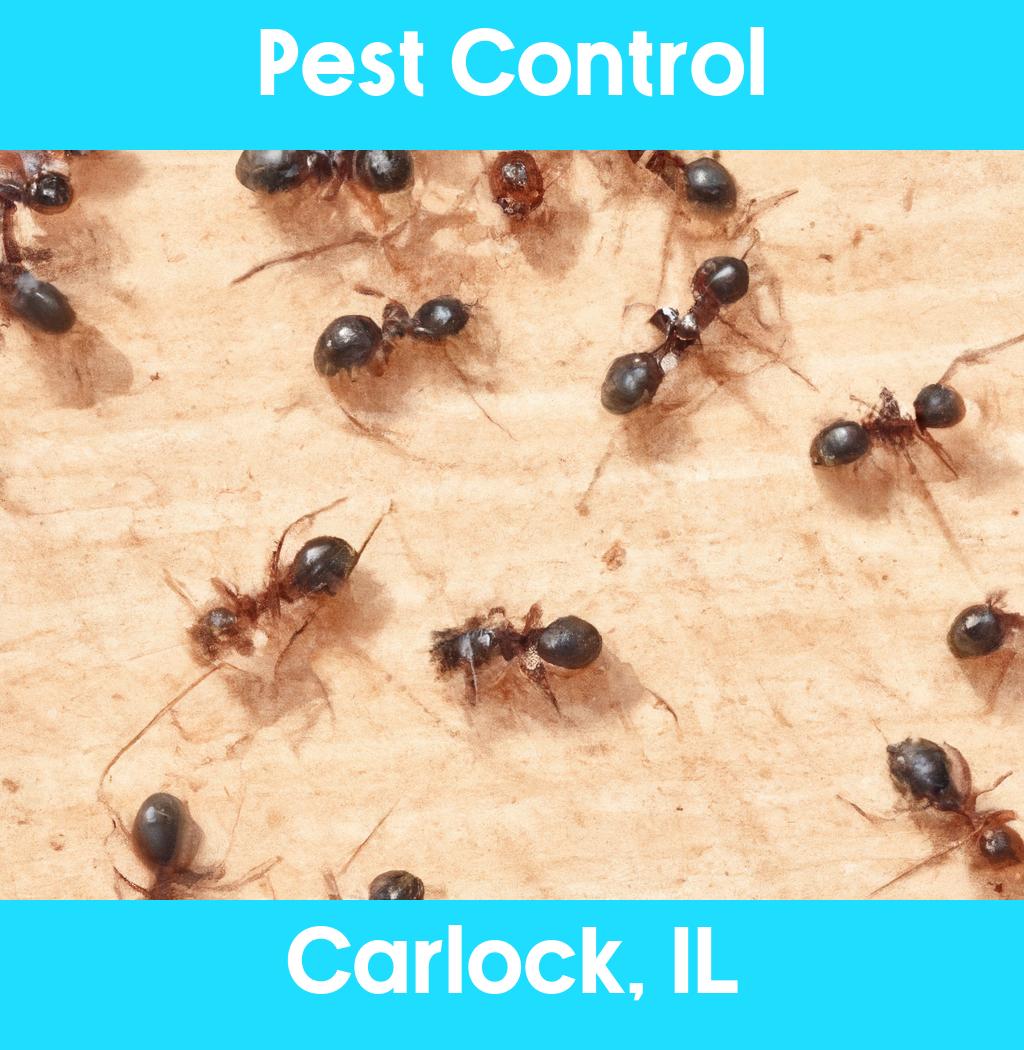 pest control in Carlock Illinois