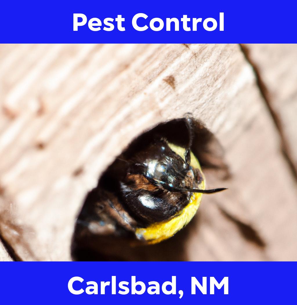 pest control in Carlsbad New Mexico