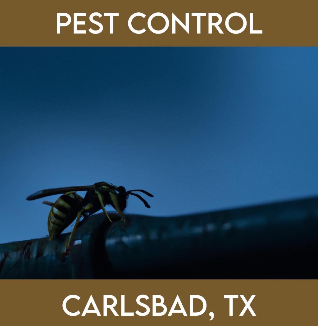 pest control in Carlsbad Texas
