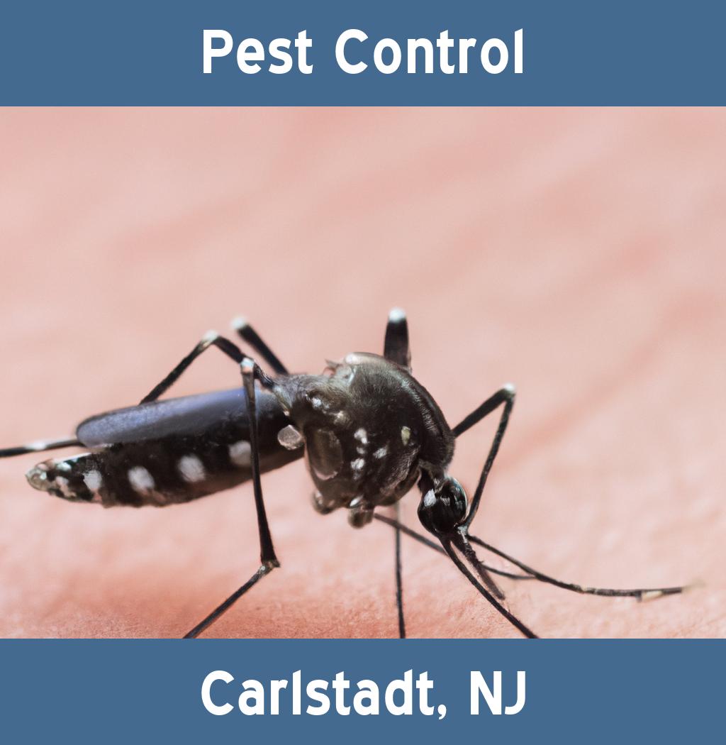pest control in Carlstadt New Jersey