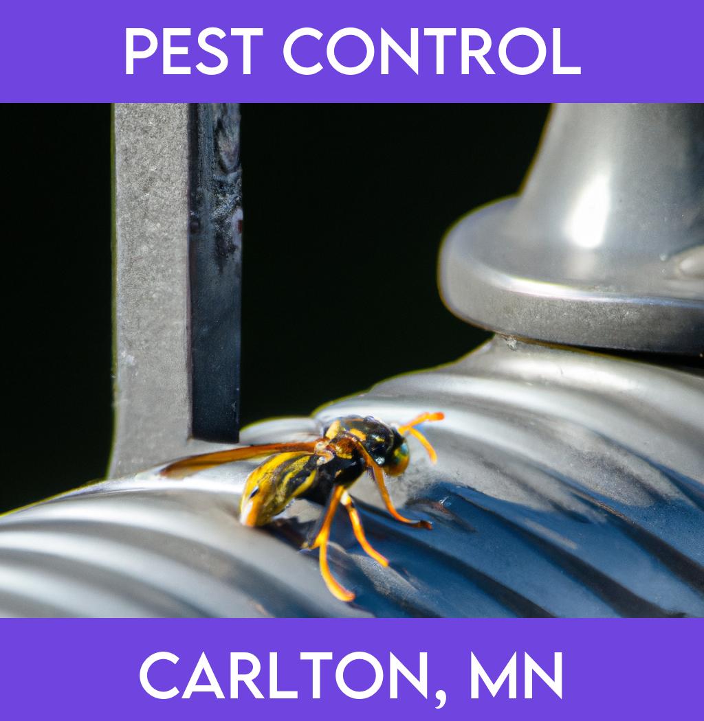 pest control in Carlton Minnesota