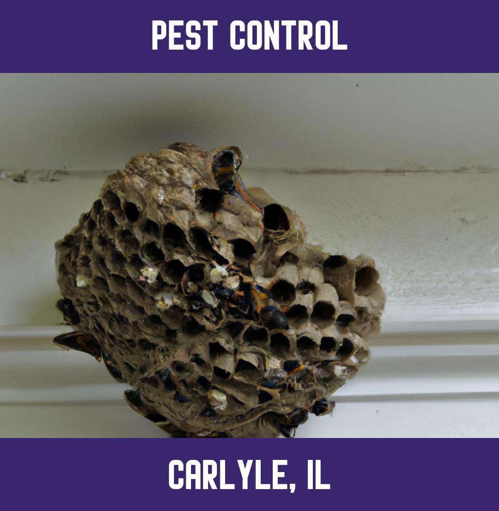 pest control in Carlyle Illinois