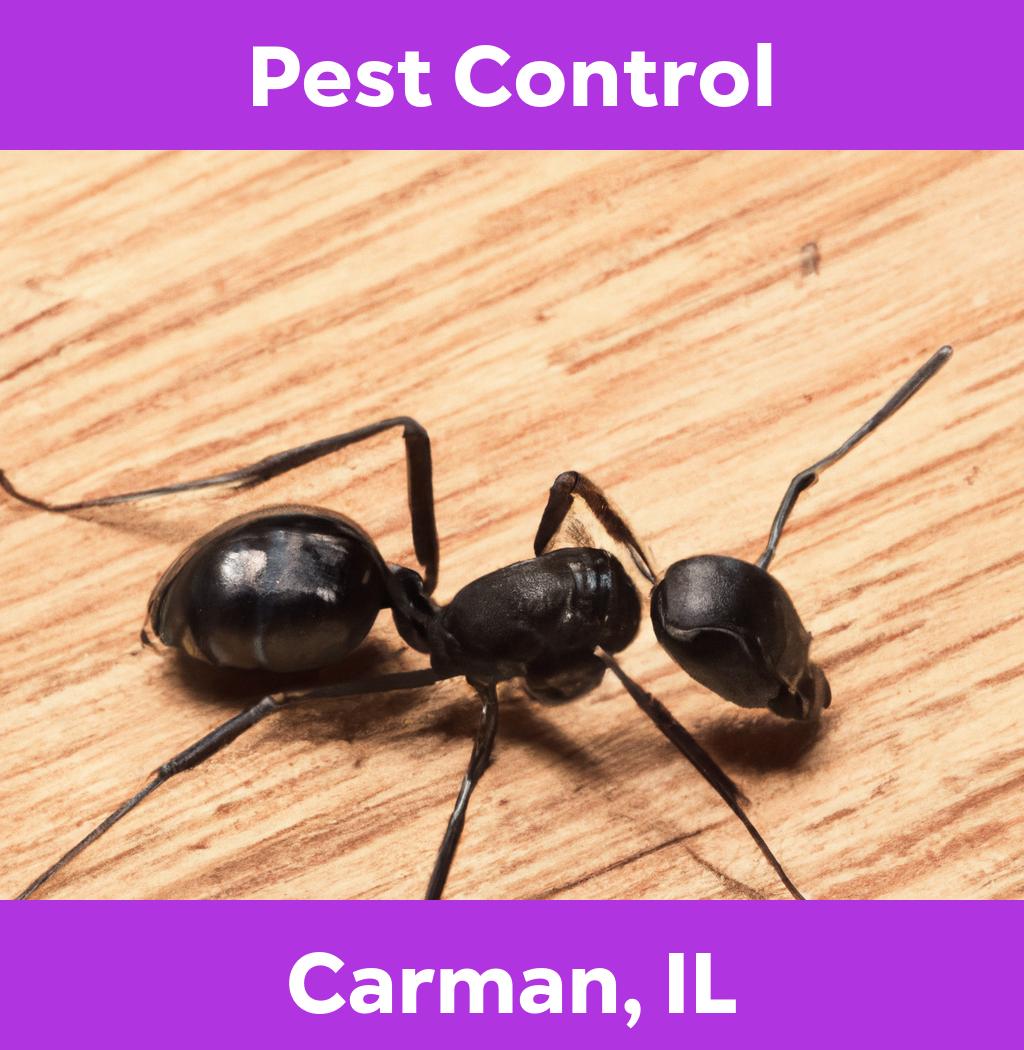pest control in Carman Illinois