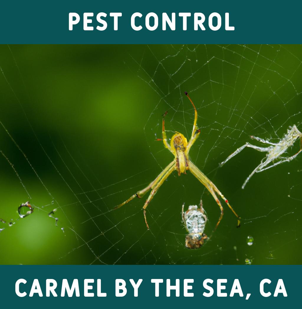pest control in Carmel By The Sea California