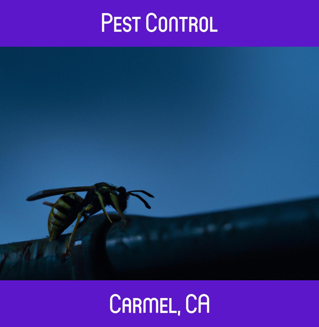 pest control in Carmel California