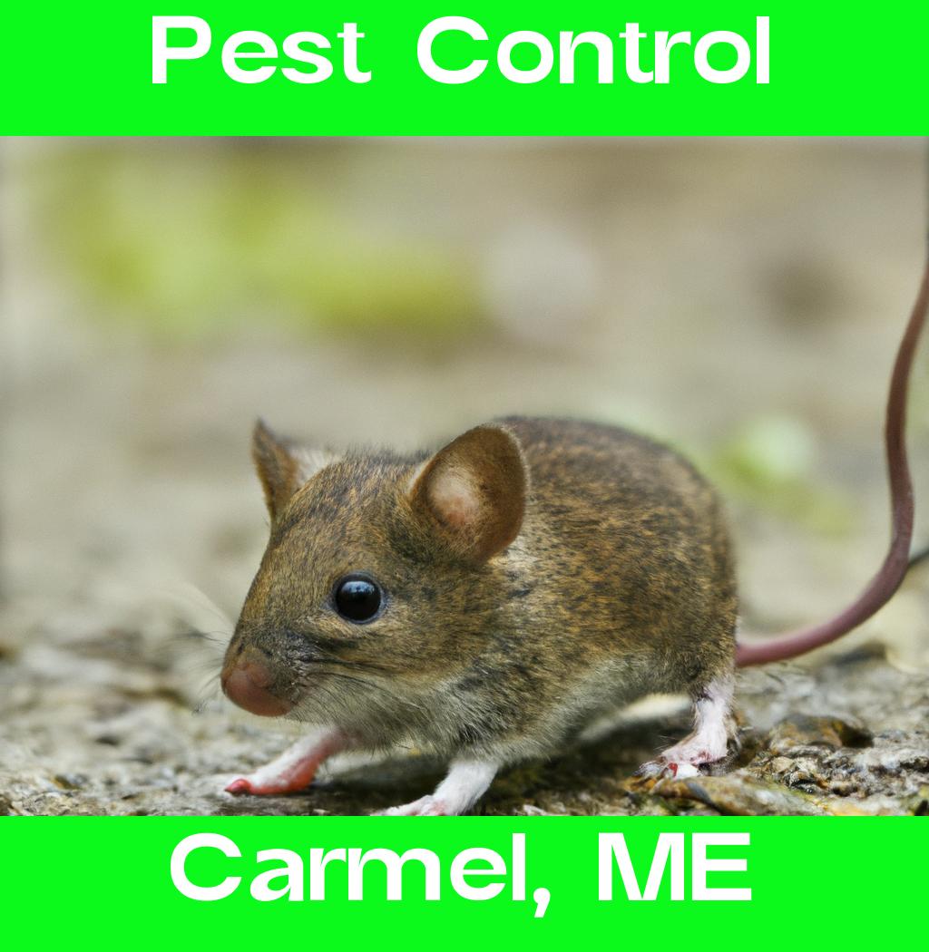 pest control in Carmel Maine