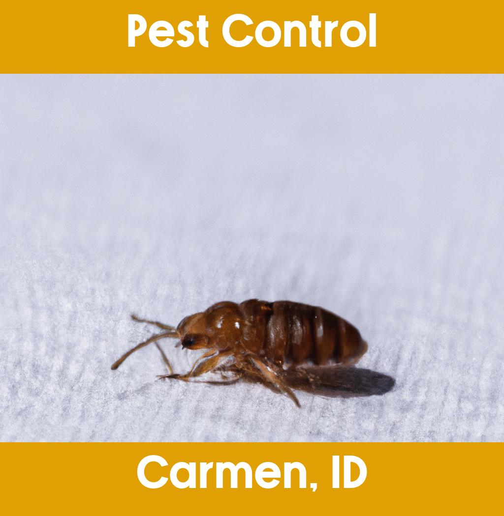 pest control in Carmen Idaho